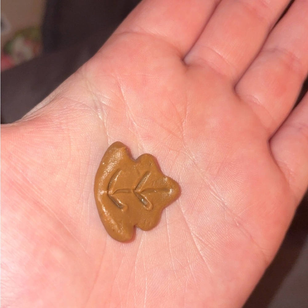 brown leaf clay magnet